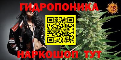 ешки Моздок