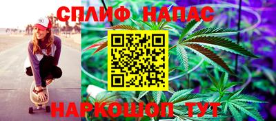 ешки Моздок