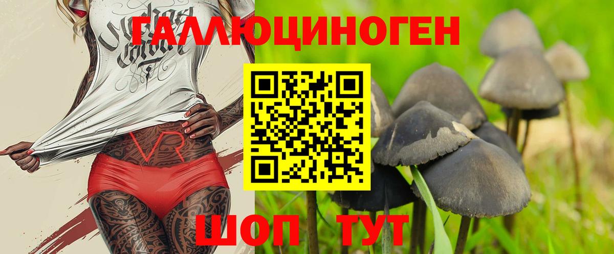 Усть-Илимск  Галлюциногенные грибы MAGIC MUSHROOMS  дарнет шоп  Вход с VPN 